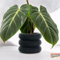 Ribbed Bubble Plant Pot With Drainage and Saucer - Poppy & Vine
