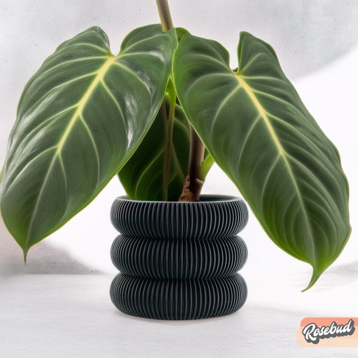 Ribbed Bubble Plant Pot With Drainage and Saucer - Poppy & Vine