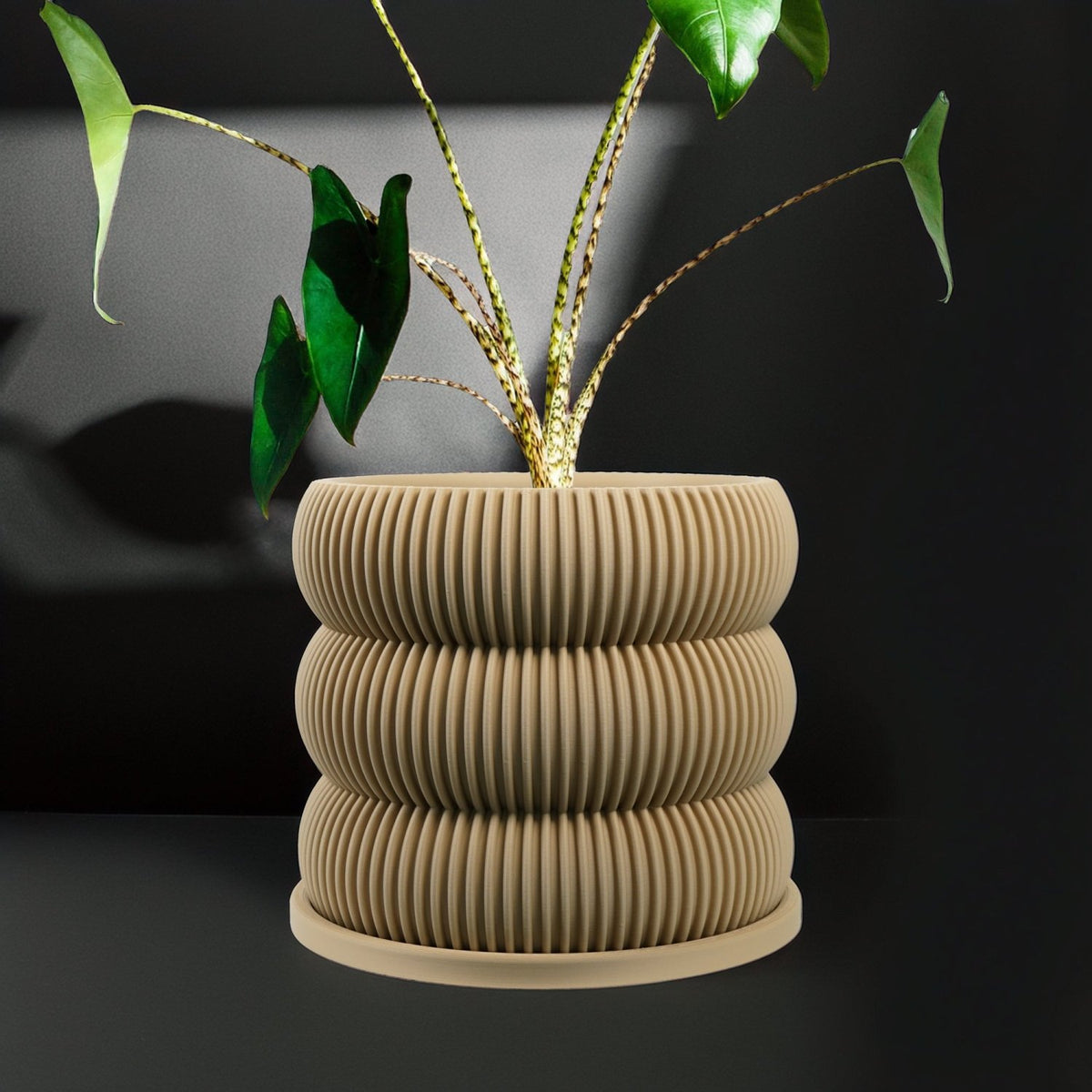 Ribbed Bubble Plant Pot With Drainage and Saucer - Poppy & Vine