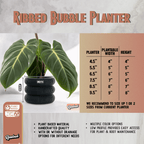 Ribbed Bubble Plant Pot With Drainage and Saucer - Poppy & Vine
