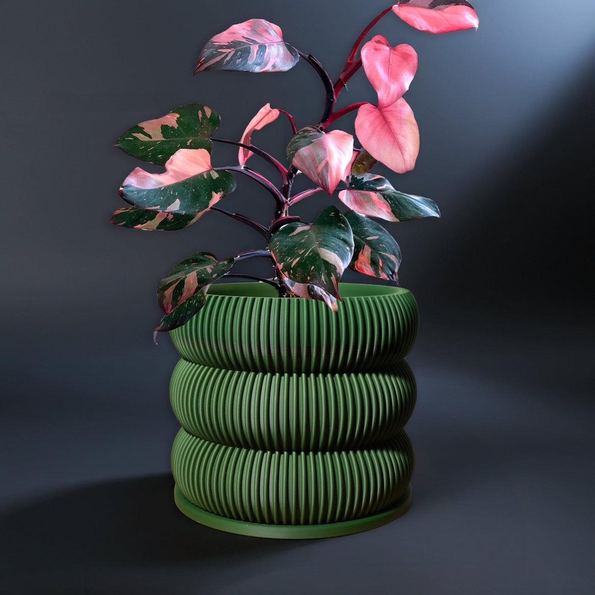 Ribbed Bubble Plant Pot With Drainage and Saucer - Poppy & Vine