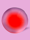 ROOTED - Poppy & Vine