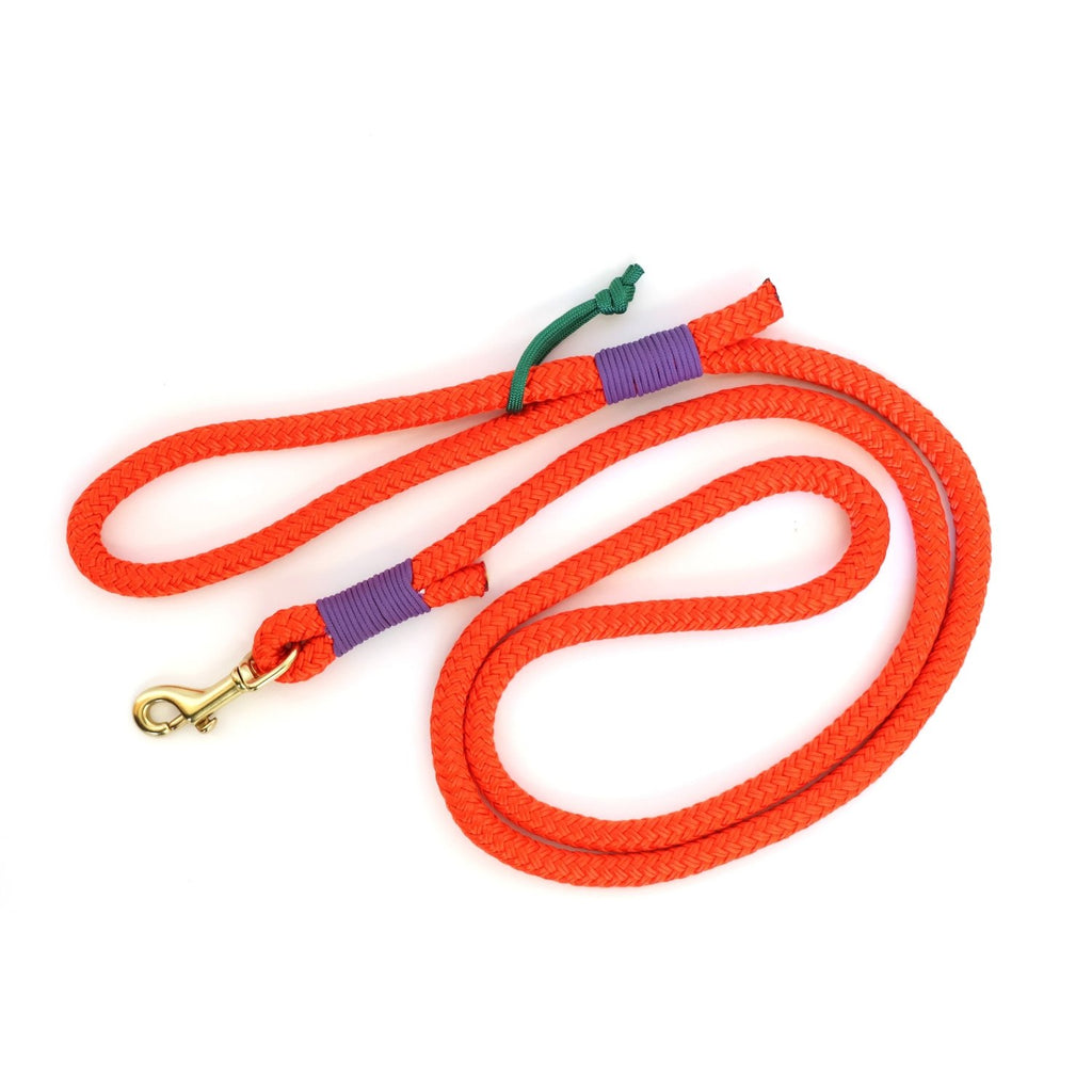 rope dog leash - Poppy & Vine