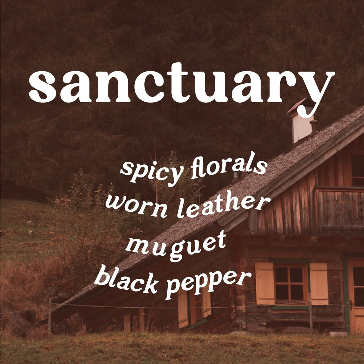 Sanctuary 9 oz. Hue Candle (Leather + Incense) - Poppy & Vine