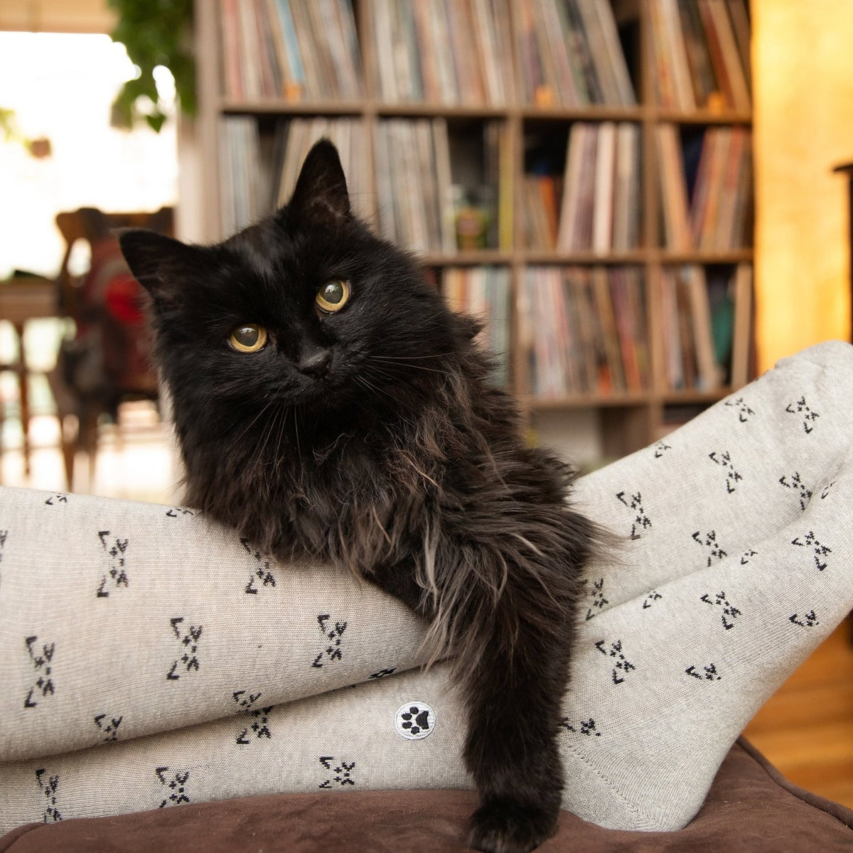 Save Cats Gift Box - Poppy & Vine