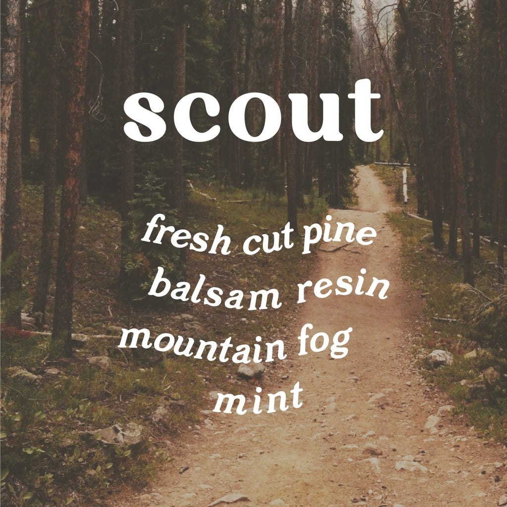 Scout 9 oz. Hue Candle (White Pine) - Poppy & Vine