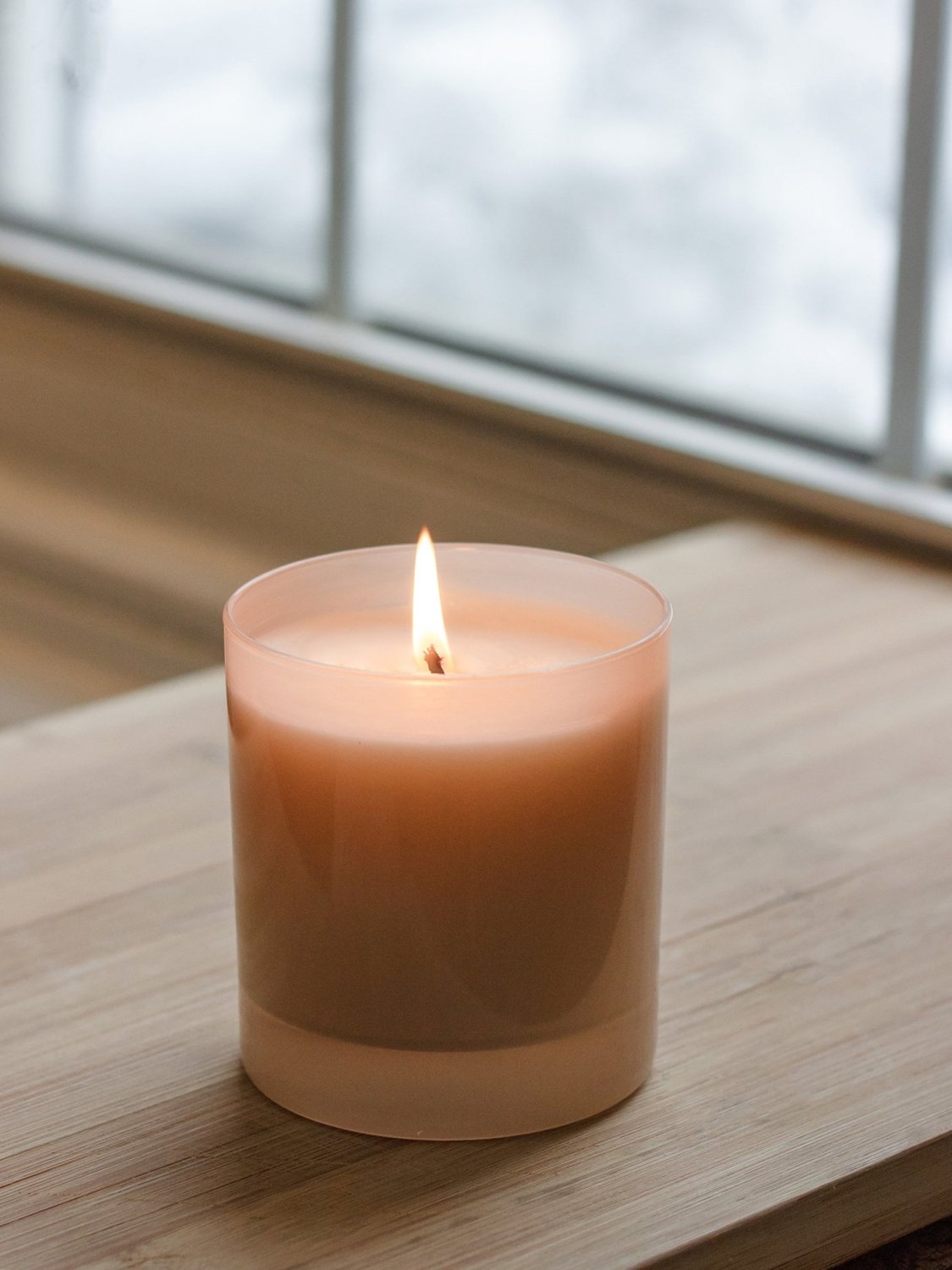 Scout 9 oz. Hue Candle (White Pine) - Poppy & Vine