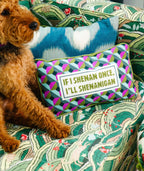 Shenanigans Needlepoint Pillow - Poppy & Vine