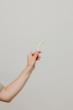 SHINY MIDI HOLD EVERYTHING CLAW - Poppy & Vine