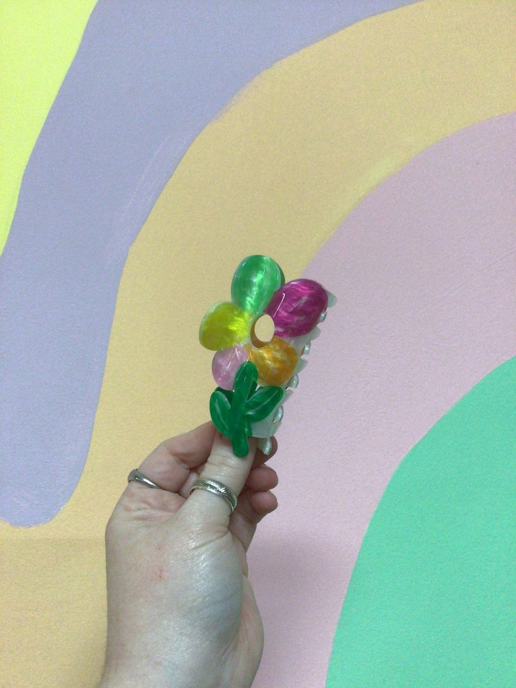 Silly Assorted Hair Claws - Poppy & Vine