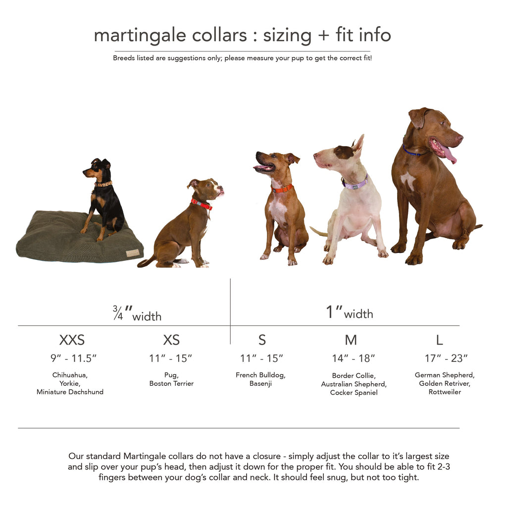 martingale collar / leopard + peach Major Darling