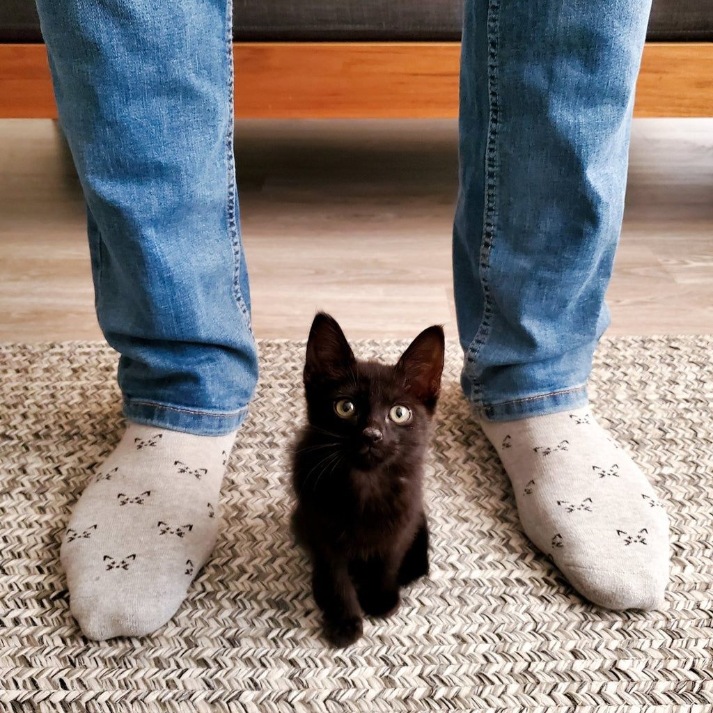Socks that Save Cats - Poppy & Vine