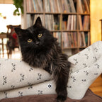 Socks that Save Cats - Poppy & Vine