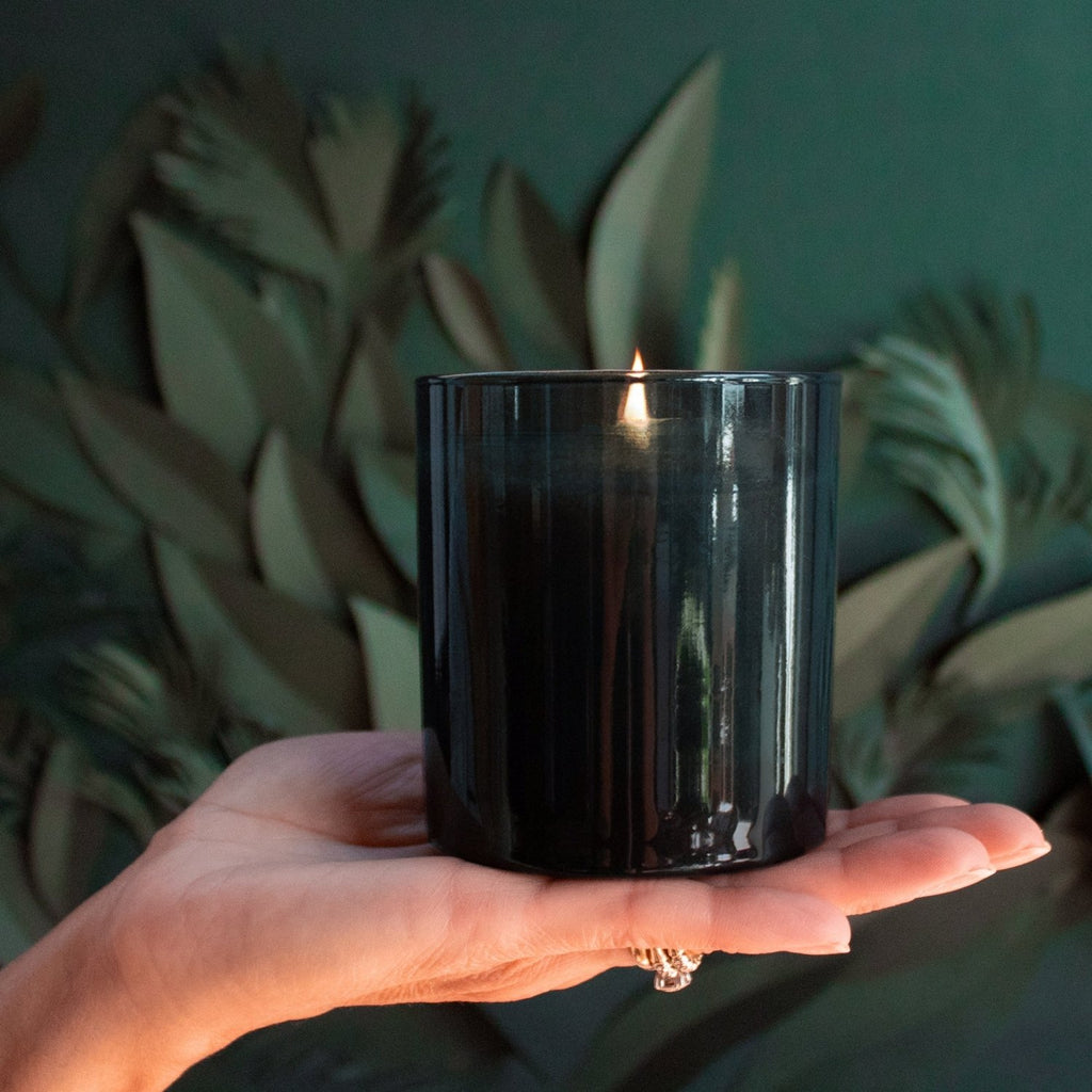 Solstice 9 oz. Hue Candle (Nordic Pine) - Poppy & Vine