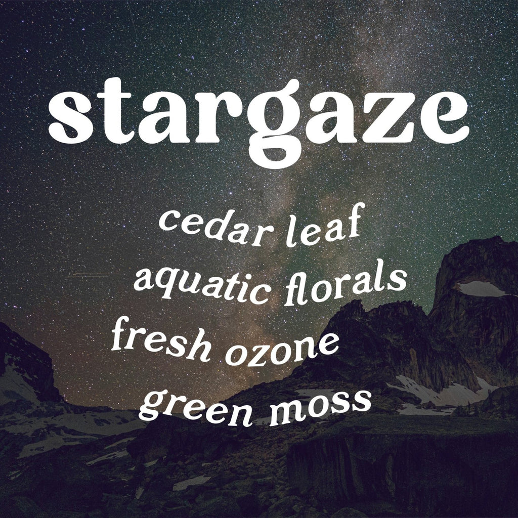 Stargaze 4 oz. Hue Reed Diffuser (Mountain Stream) - Poppy & Vine