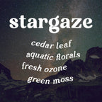 Stargaze 4 oz. Hue Reed Diffuser (Mountain Stream) - Poppy & Vine