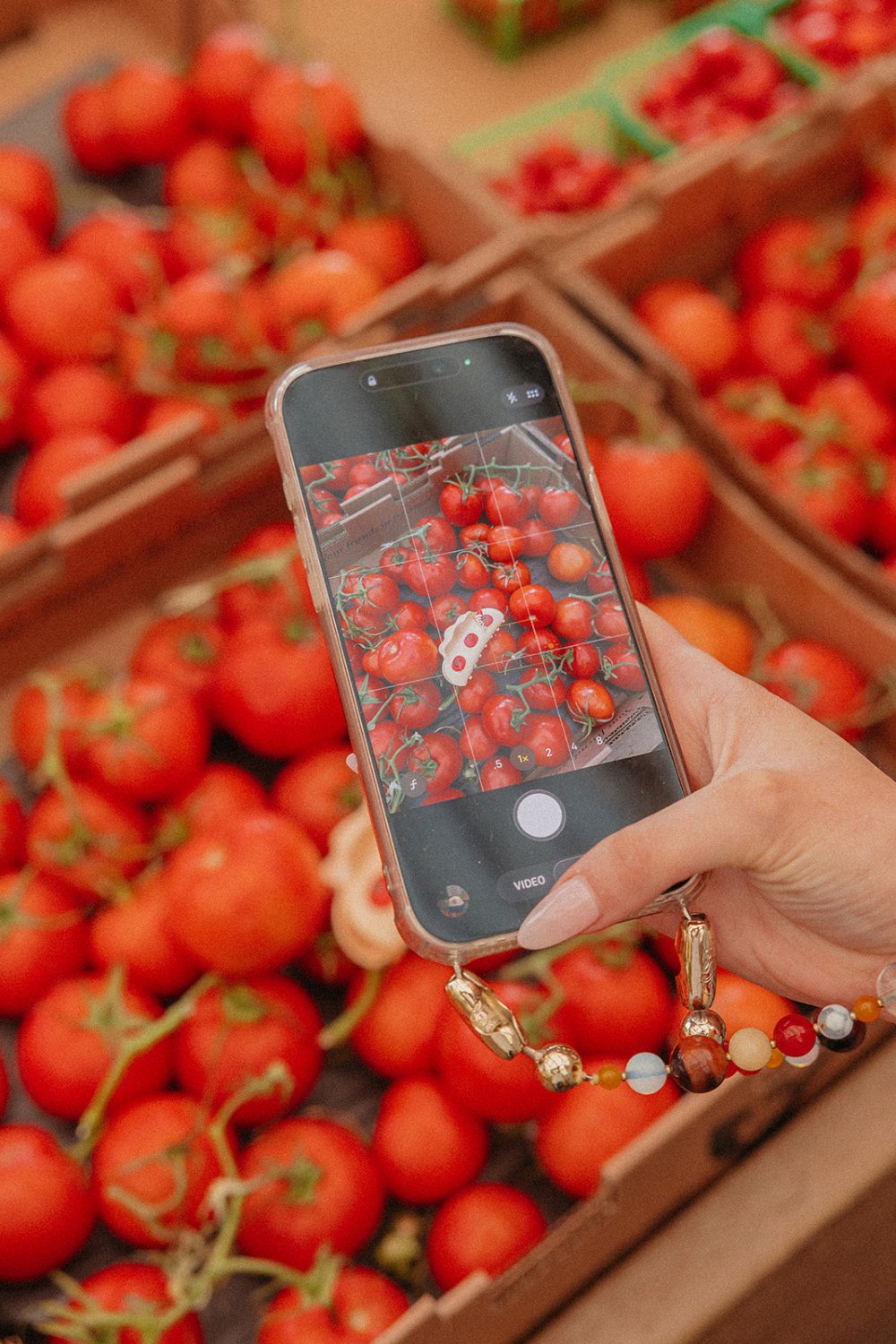 TOMATO CHARMED CLAW - Poppy & Vine
