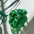 Velvet Claws Monstera Leaf Hair Claw - Poppy & Vine