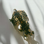 Velvet Claws Shaped Cheetah Hair Claw - Poppy & Vine