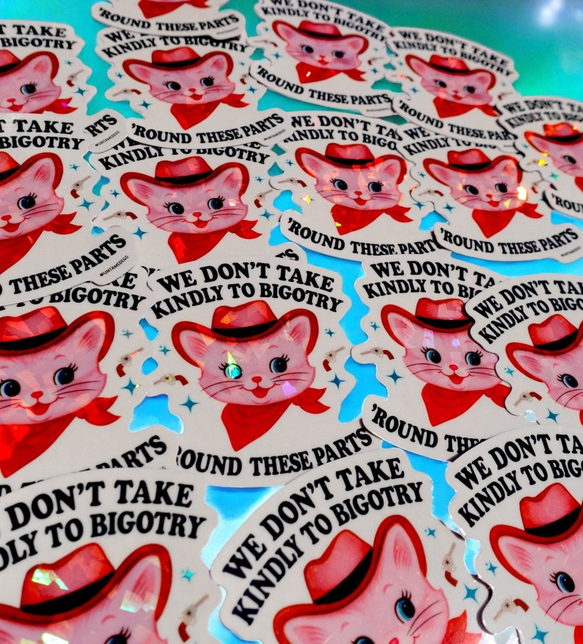 We Don’t Take Kindly to Bigotry Sticker - Poppy & Vine