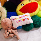 You Are My Sunshine Mini Needlepoint Pillow - Poppy & Vine